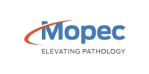brand-transparent-19